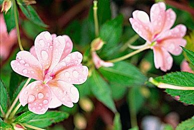 《时间旅者：重生曙光》热修补丁发布 修复多项问题